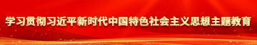 肥逼操学习贯彻习近平新时代中国特色社会主义思想主题教育